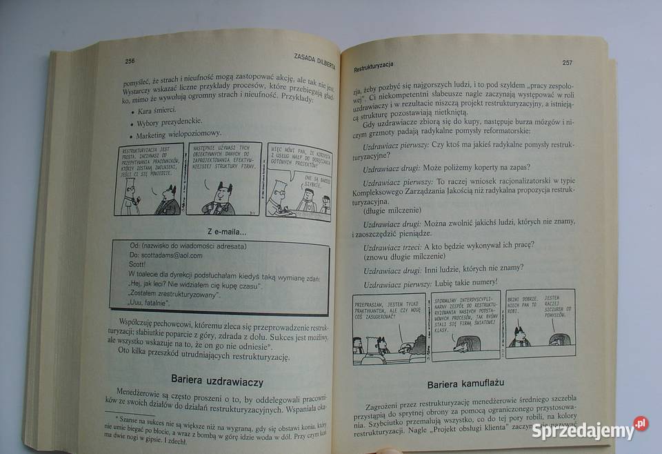 Zasada Dilberta Scott Adams Komiksy