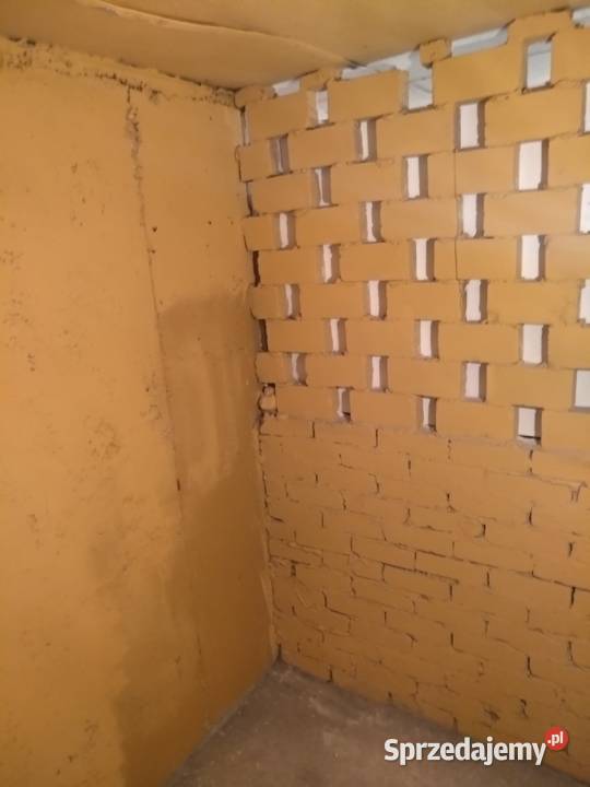 Wynajmę piwnicę w bloku Ogińskiego 5357 Gorzów lubuskie Gorzów Wielkopolski