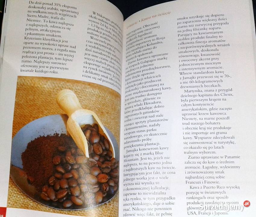 Kawa herbata czekolada Pascal Chełm