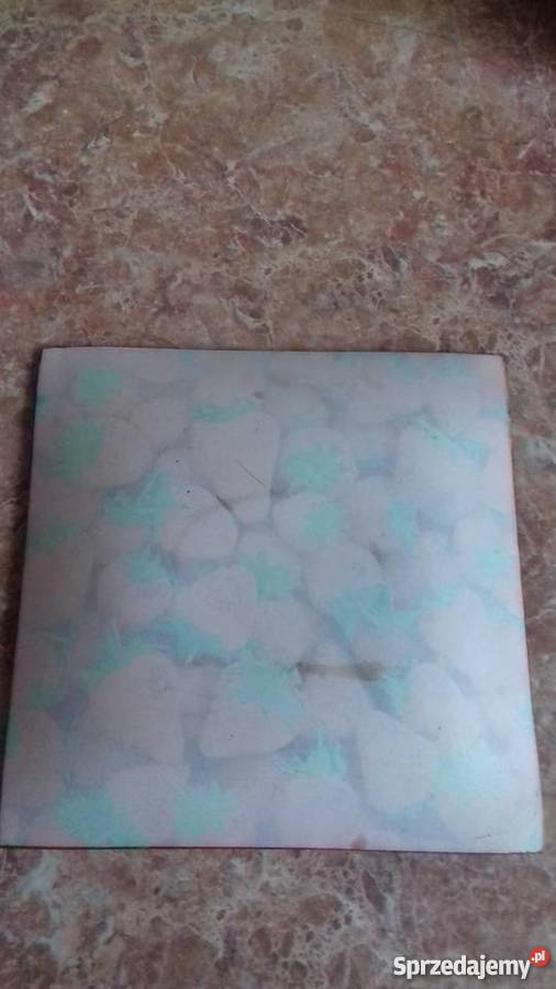 Talerz w truskawki warmińsko-mazurskie