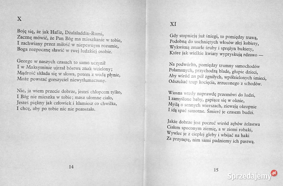 Lato 1932 Jarosław Iwaszkiewicz Chełm