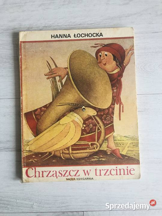 Książka Chrząszcz w trzcinie Hanna Łochocka Książki dla dzieci Łódź