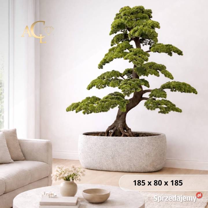 Sztuczne drzewko Bonsai Premium 185x80x185 małopolskie