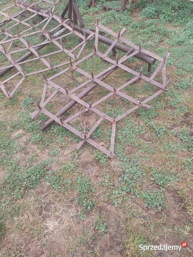 Brony grudziądz 3 polowe Brony Blizne