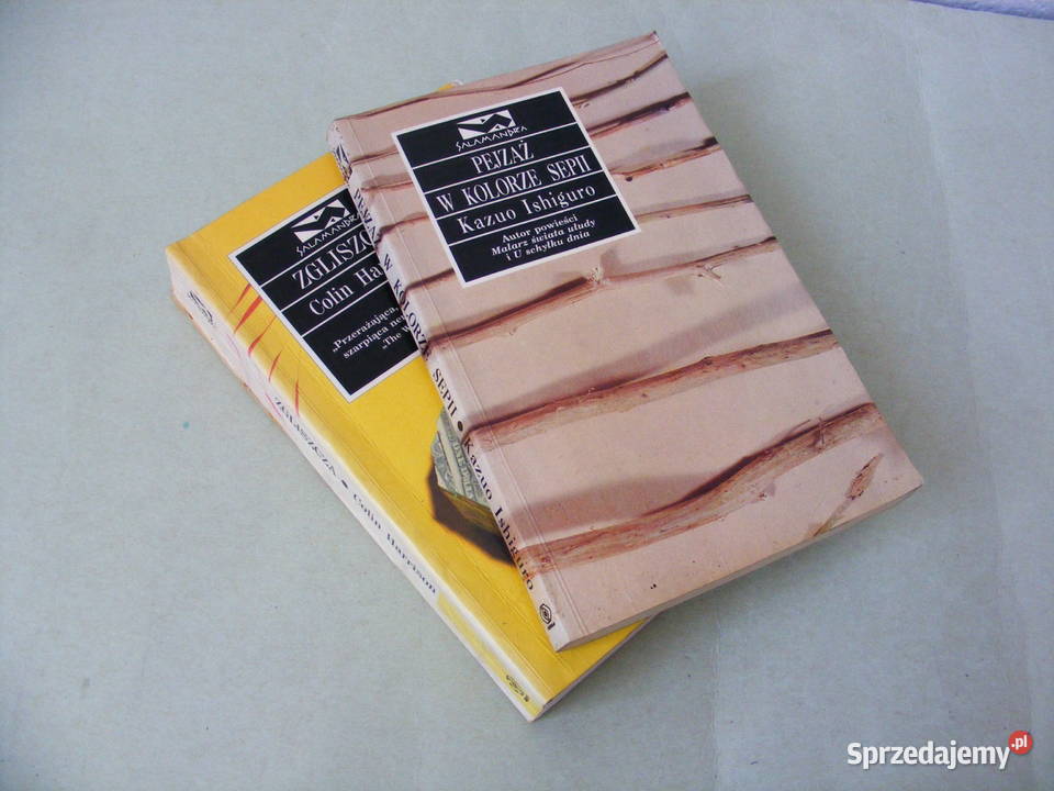 Zgliszcza Harrison Pejzaż w kolorze sepii Oborniki Śląskie