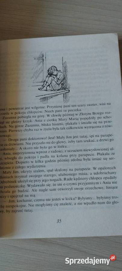 Ania ze złotego grzegu ISBN 8310090714 Lublin