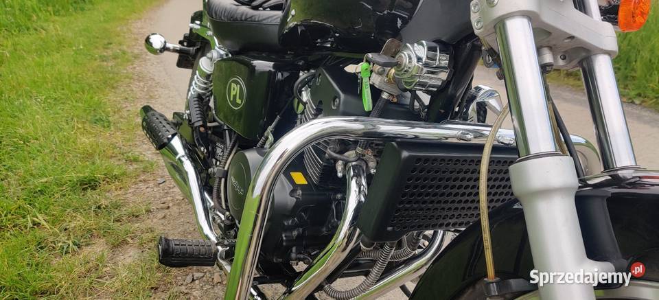 Zipp Raven Lux 125cc Brzeszcze