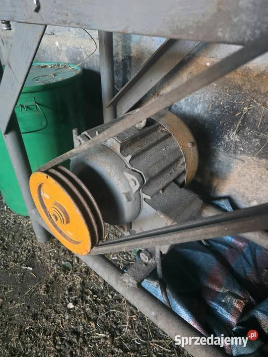 Heblarka kujawsko-pomorskie Boniewo