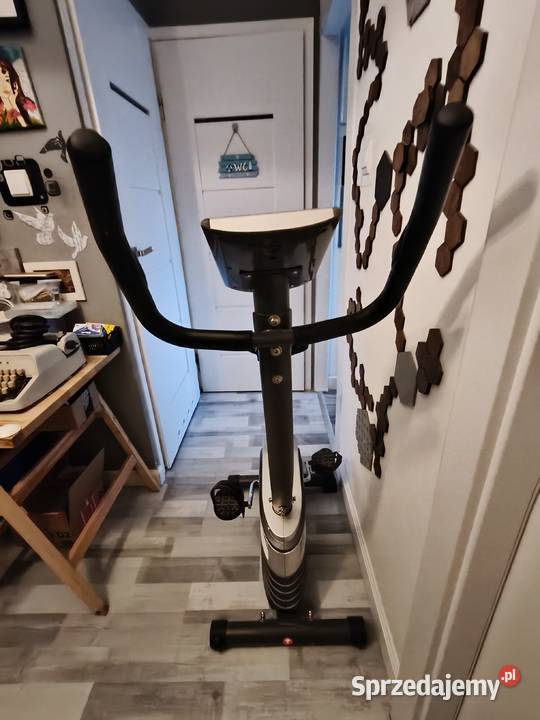 Rower stacjonarny kayoba Gdańsk