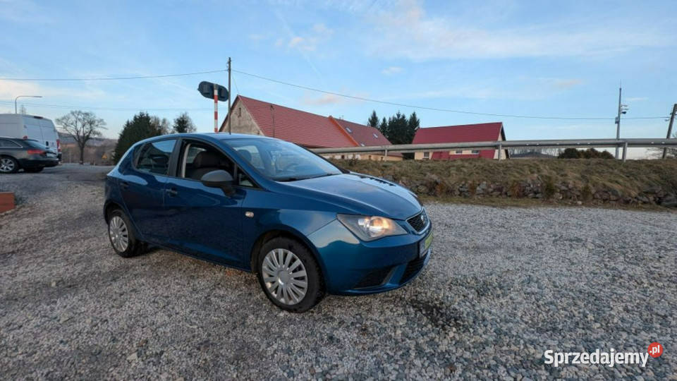 Seat Ibiza Lift IV 2008 Motoryzacja Kamienna Góra