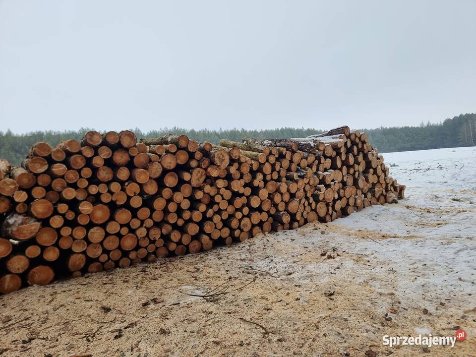 Sprzedam drewno sosnowe opałowe metry gałęziówka Radzyń Podlaski