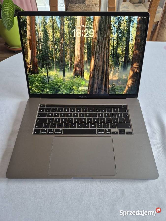 Laptop Apple MacBook Pro 16 2019 i9 8rdzeniowy Turobin