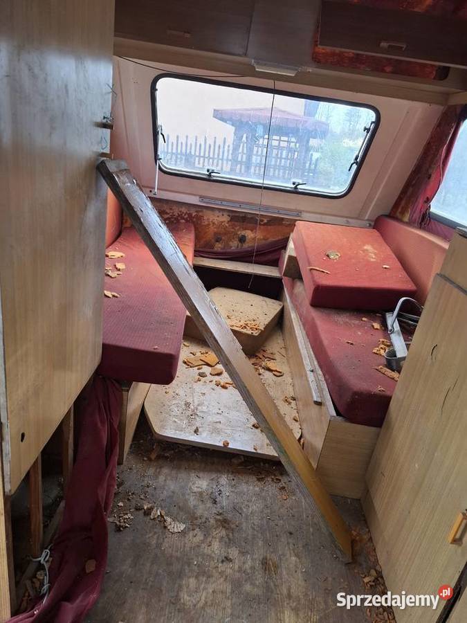 Niewiadów n132 Wieloryb Niewiadów Płońsk