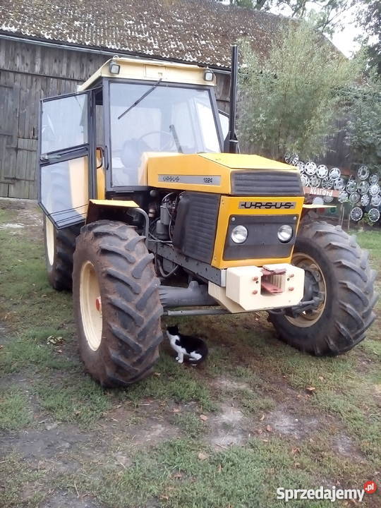 Ursus 1224 bez przeróbek pracuje na 14 ha Ciągniki Pordenowo