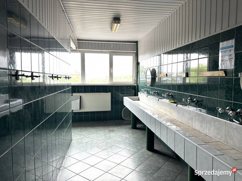 Magazyn z częścią biurowosocjalną łącznie 1200 m Katowice sprzedam