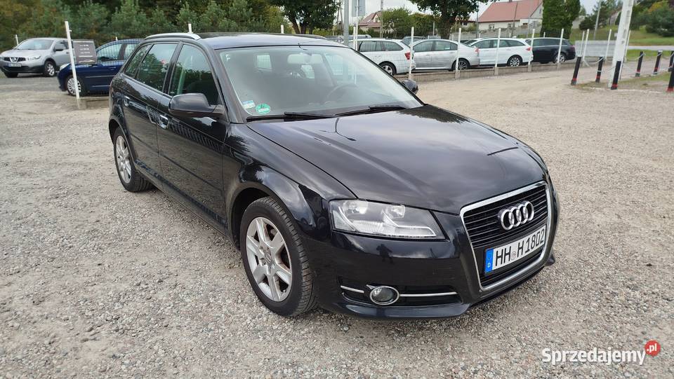 Audi A3 Pełen Serwis Bezwypadkowy 11 lat w pomorskie Bytów