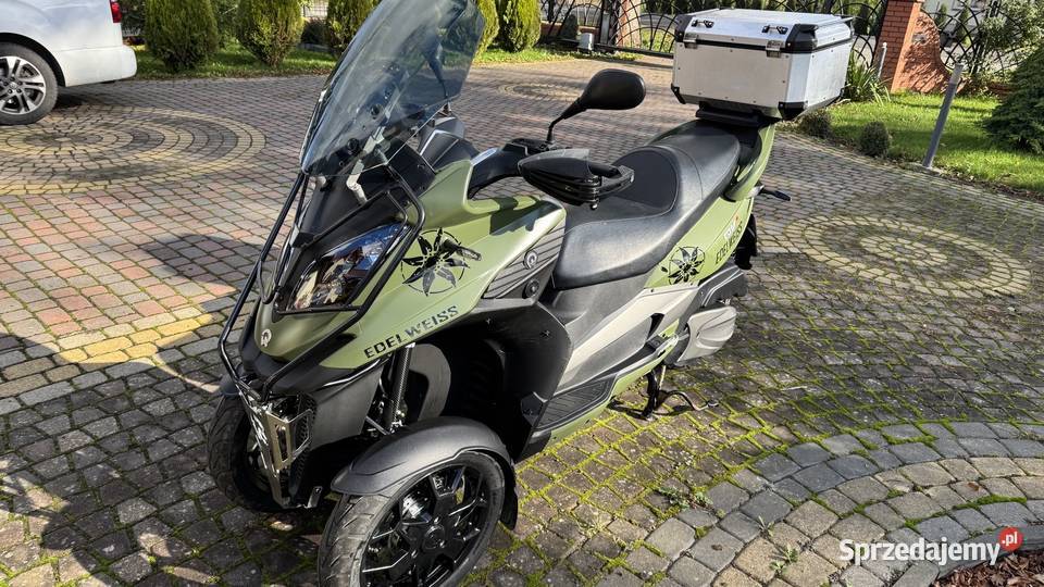 QV3 Quadro Edition Edelweiss 3503 warmińsko-mazurskie Działdowo