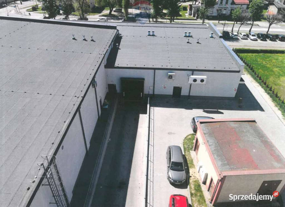 Do wynajęcia pow handlowe w centrum Tczewa Wynajem Tczew