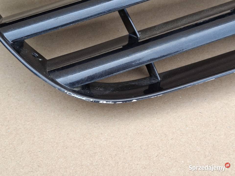 VW T5 TRANSPORTER MULTIVAN CARAVELLE GRILL Bieleń