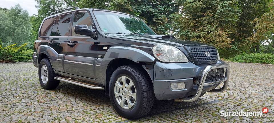 Hyundai Terracan 29 CRDi High Sprowadzony mazowieckie Gostynin