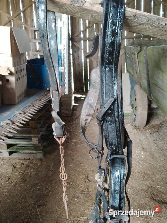 Uprząż konna lubelskie Hrubieszów