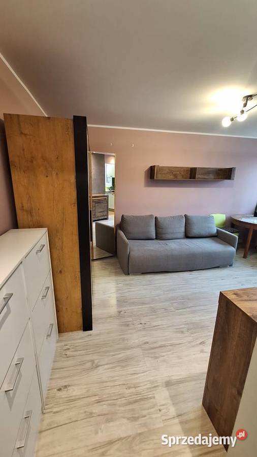 Kawalerka papa Łódź