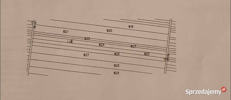 Sprzedam las Wola Obszańska