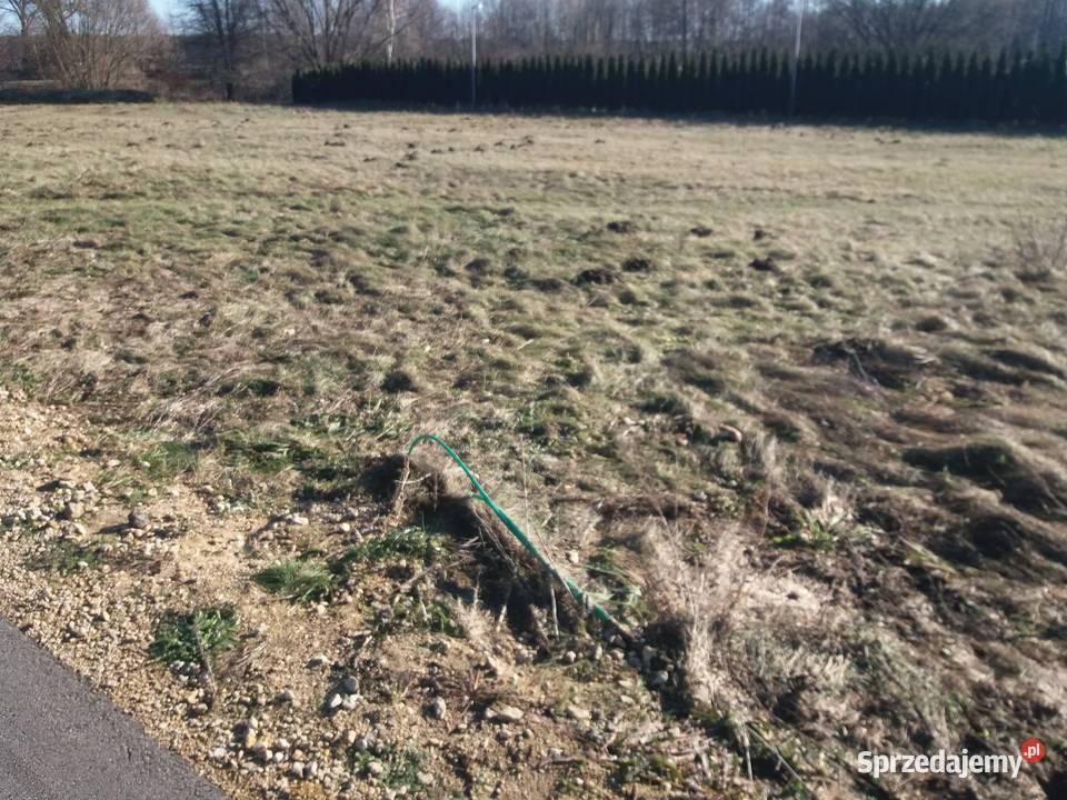 Czarków gm Wielowieś sprzeda właściciel śląskie