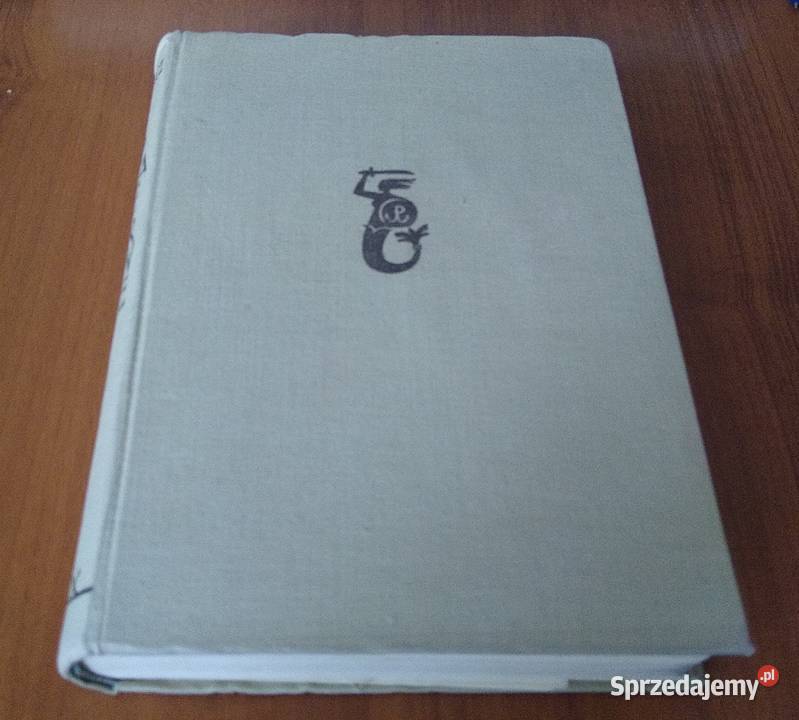 Powstanie Warszawskie 1944 zarys działań natury Gdańsk