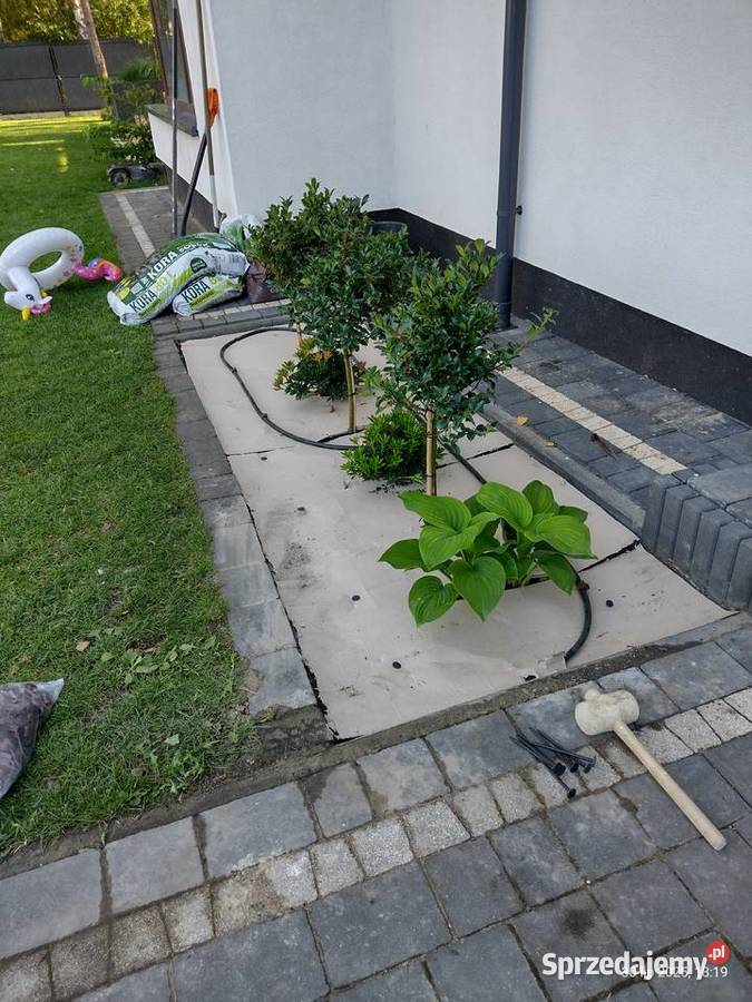 Prace remontowemalowanie Ogrod Komornica