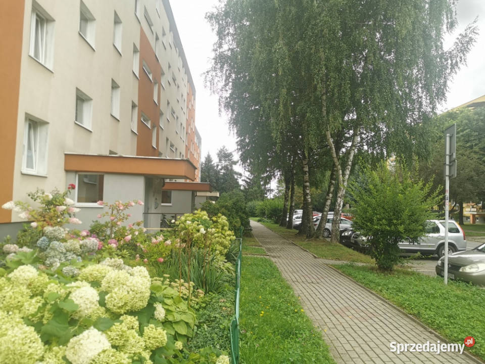 Bez prowizji remoncie 36 mkw Solarza