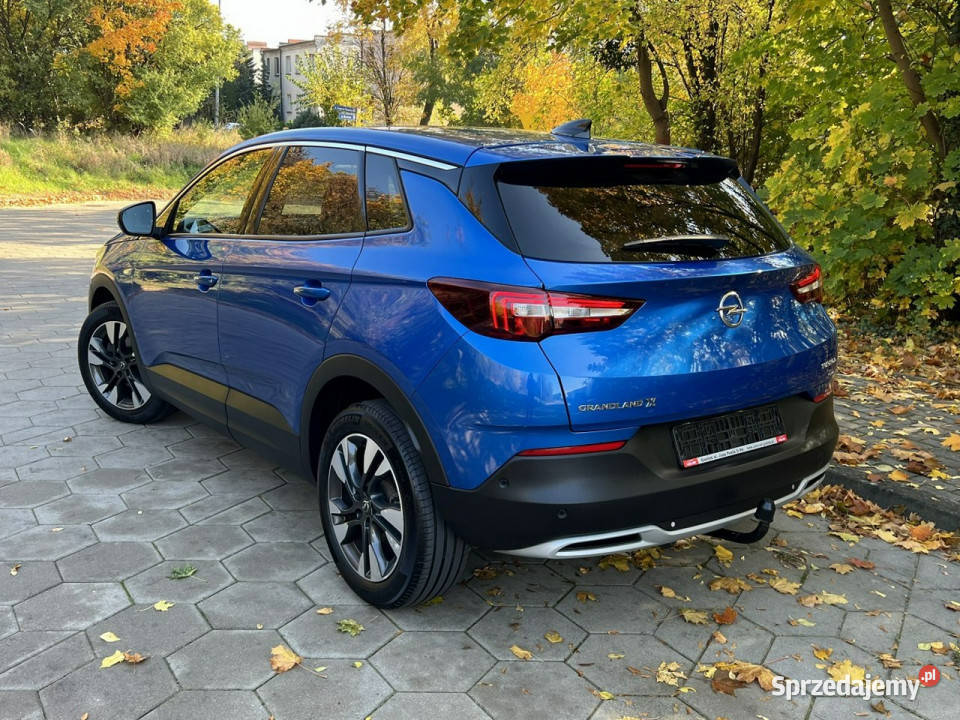 Opel Grandland X Opel Grandland X Navi 170000km
