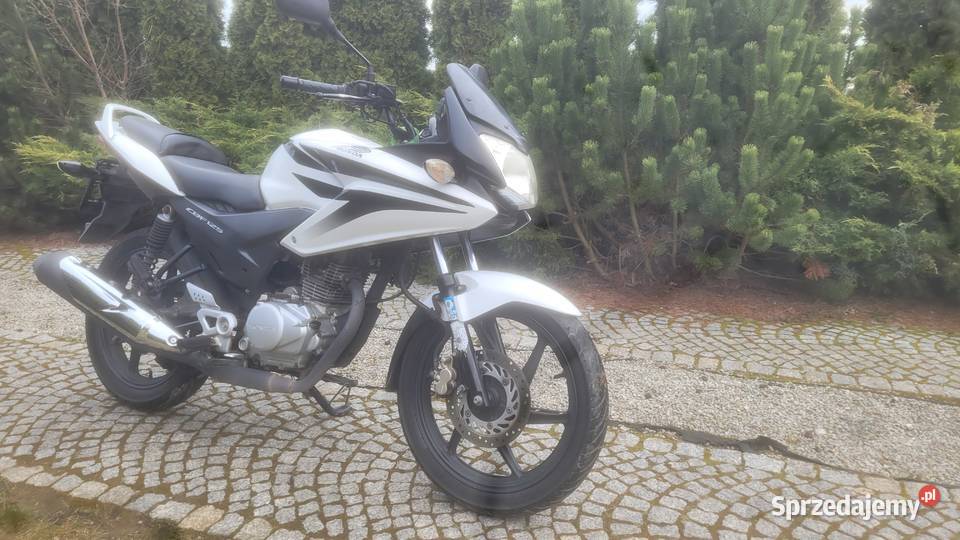 Cadillac1962wp Gniezno