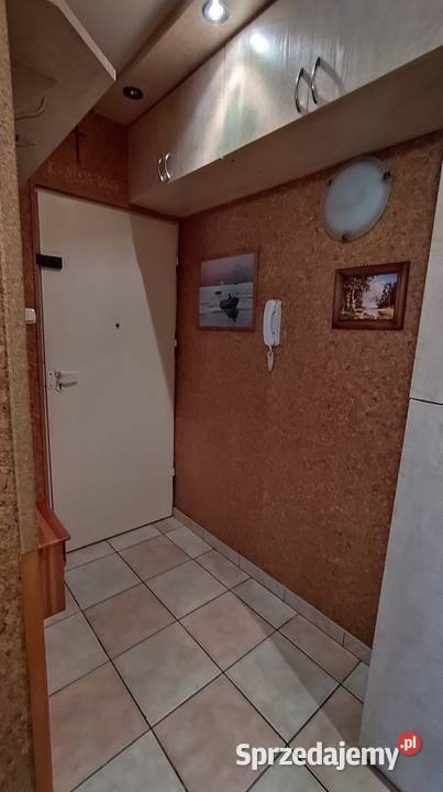 2 pok IIp 42m2 al 1000lecia PP cegła sprzedam