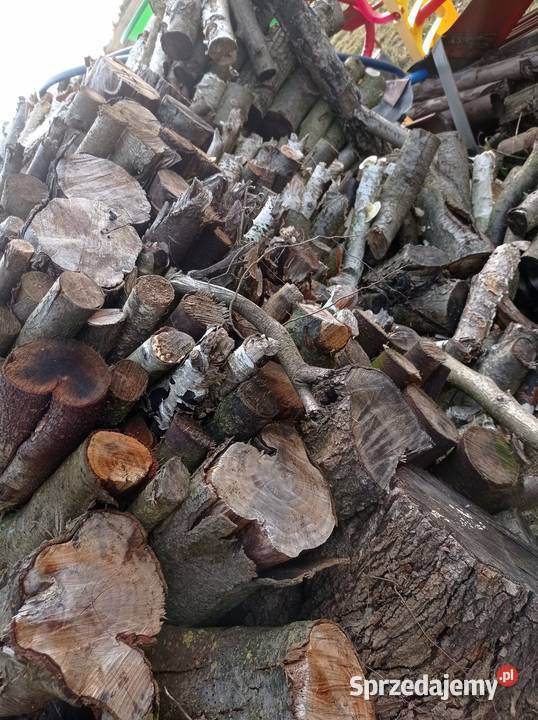 Sprzedam drzewo liściaste i sosnowe śląskie Kiełkowice