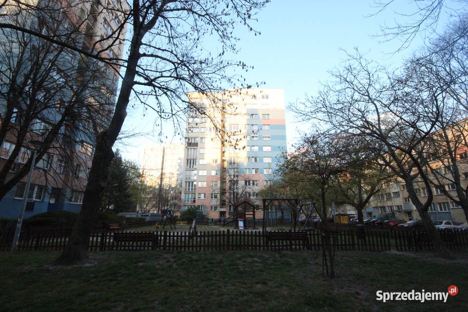 2pok 38met Zaułku Browarnego PIWNICAWINDA Wrocław