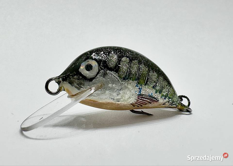 Woblery kleniowojaziowe MD Szczebrzeszyńskie