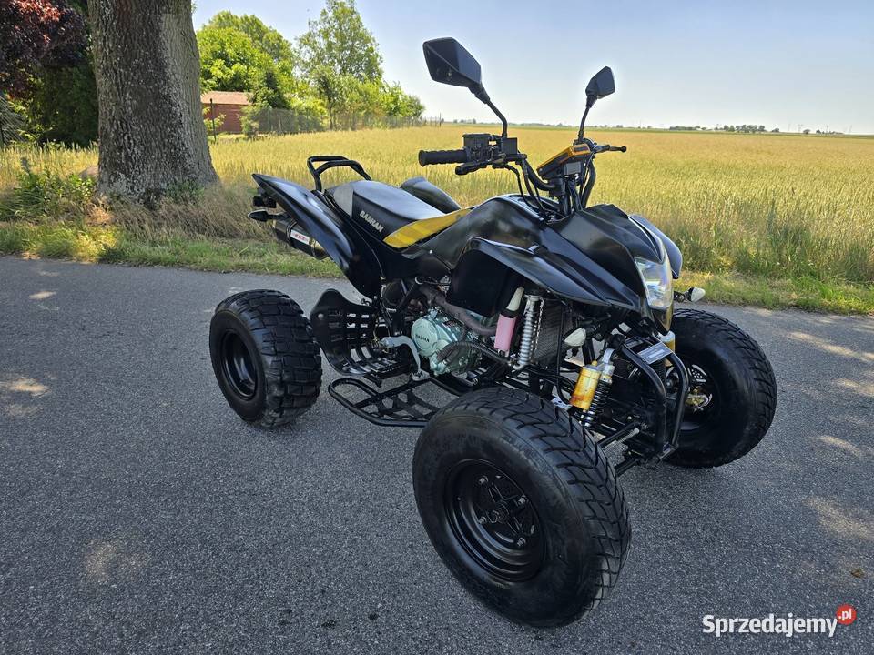 Quad Bashan Bs 250cc Duża Rama 41R Ciecz 2014r Kruszwica