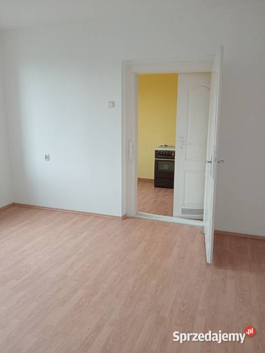 kawalerka w Chorzowie do wynajęcia Chorzów sprzedam