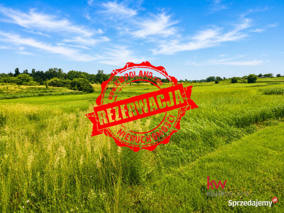 sprzedaży domu bliźniaka 526m2 Grabowiec Nieruchomości wielkopolskie