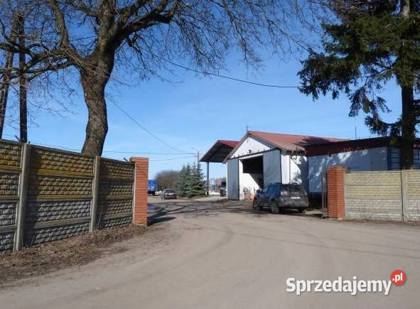 Syndyk sprzeda udział 38 w prawie własności Pielgrzymowo