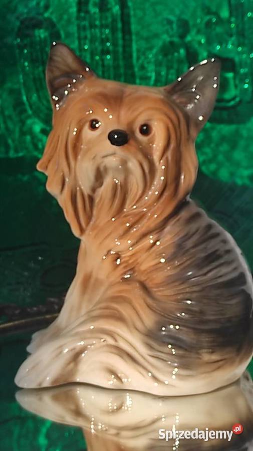 MELBA Wyjątkowa porcelanowa figura psa rasy YORK Pabianice