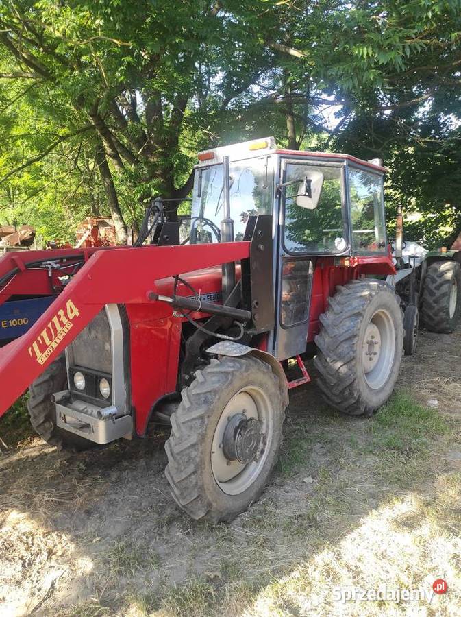 Massey Ferguson 254 Ciągniki Racławice