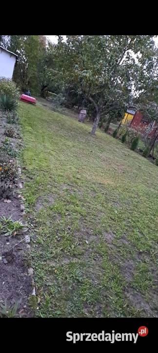 Rod Malwa mazowieckie Milanówek