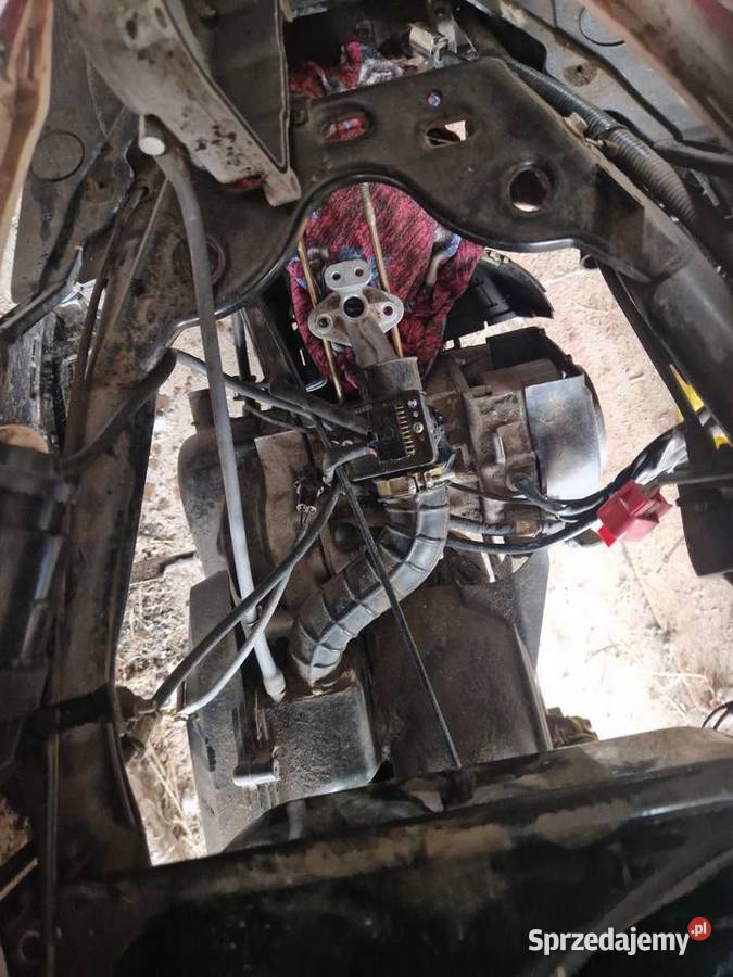 Barton flash 50 Gryfice