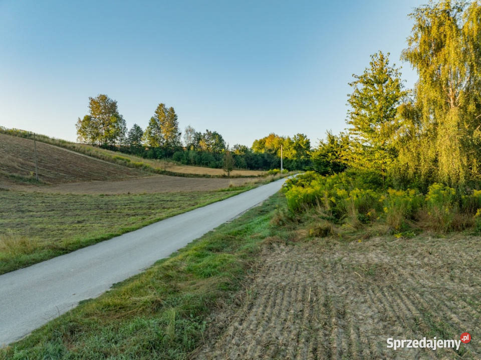 2 ha pozwolenie na 3 domy gm Skała małopolskie sprzedam