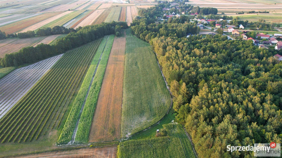 Działka Rakówka 22400m2 Sprzedaż lubelskie