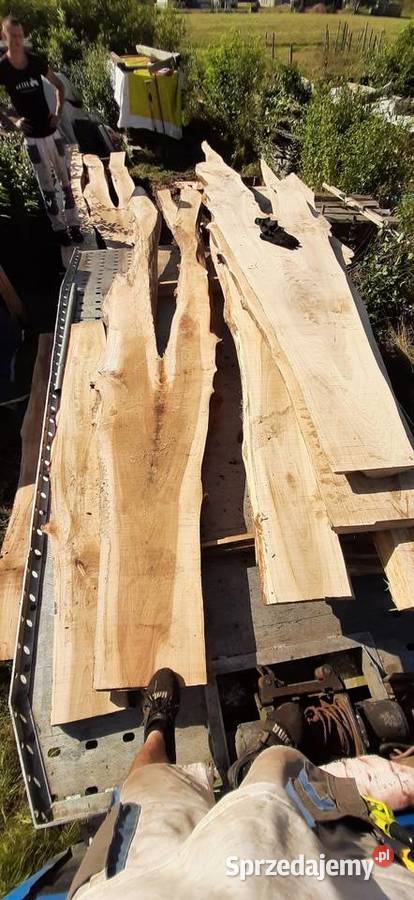 Wiąz deski bale brusy wiązu Pozostałe Rzeszów