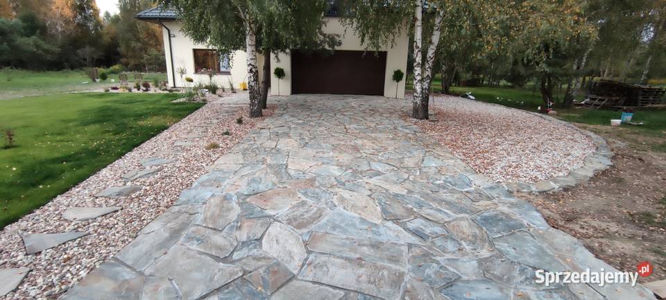 księżycowy łupek wielkopłytowy Księżyce