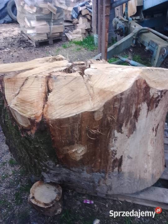Plastry dębowe Bochnia sprzedam